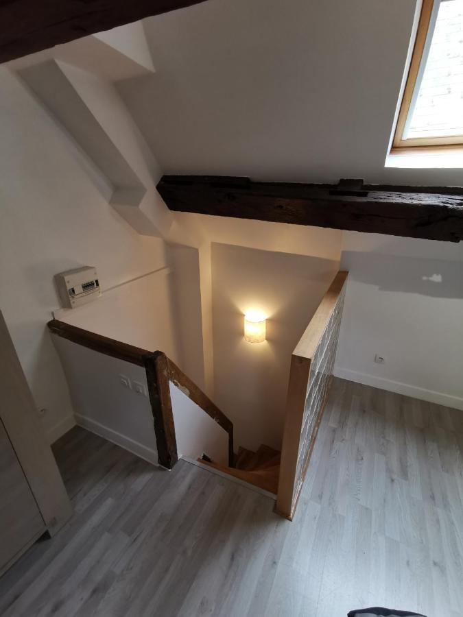 Appartement Hyper Centre Au Bord De Loire Orléans Eksteriør billede