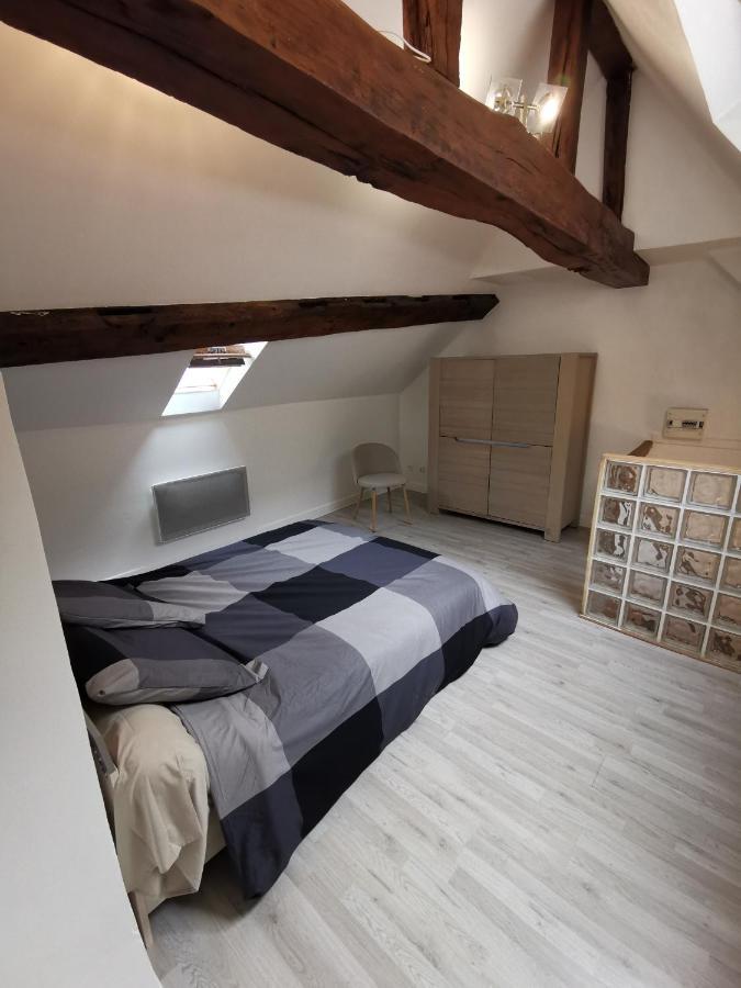 Appartement Hyper Centre Au Bord De Loire Orléans Eksteriør billede
